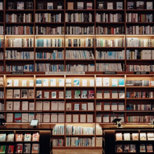 Mystery Novels for Young Minds